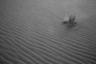 Great Sand Dunes 10762101010i3-2